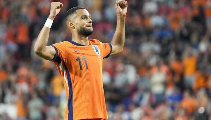 hasil-belanda-vs-bosnia-herzegovina-skor-akhir-5-2