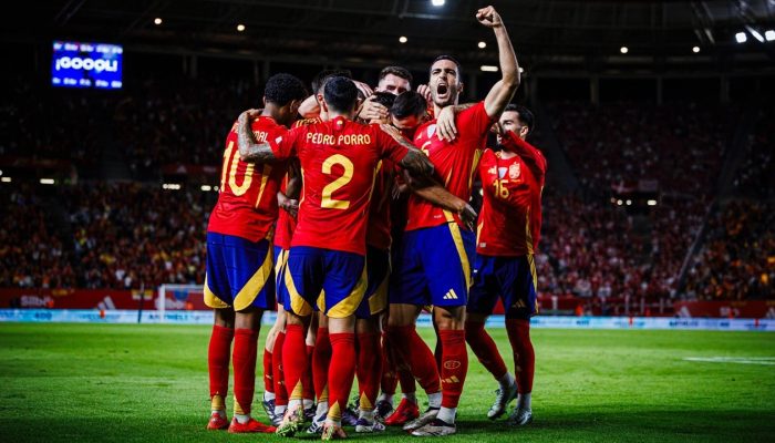 hasil-spanyol-vs-denmark-skor-1-0